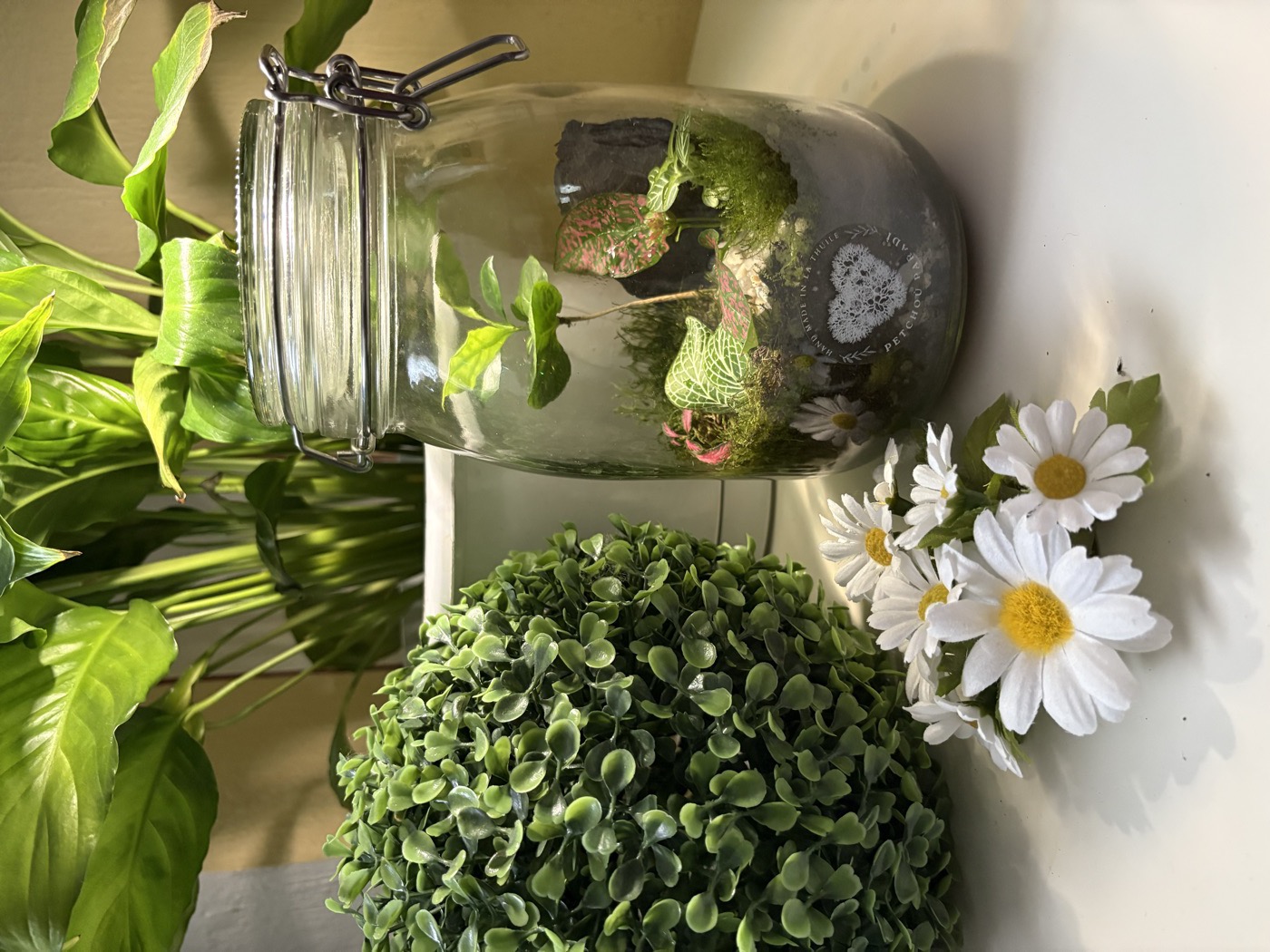 Terrario Sguardo alla Natura — vaso con muschio e piantine verdi