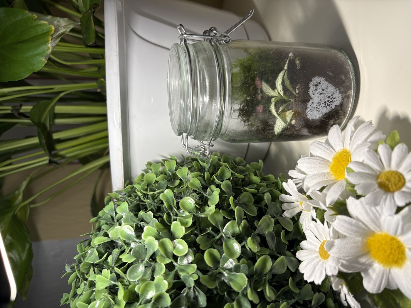 Terrario Essenza — barattolino con composizione minimale