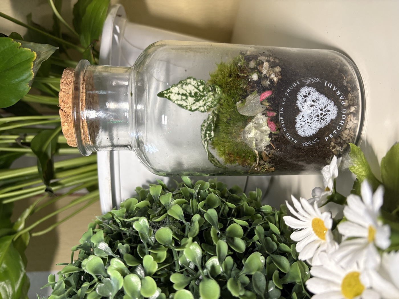Terrario Luce Alpina — vaso allungato con muschio e foglia variegata