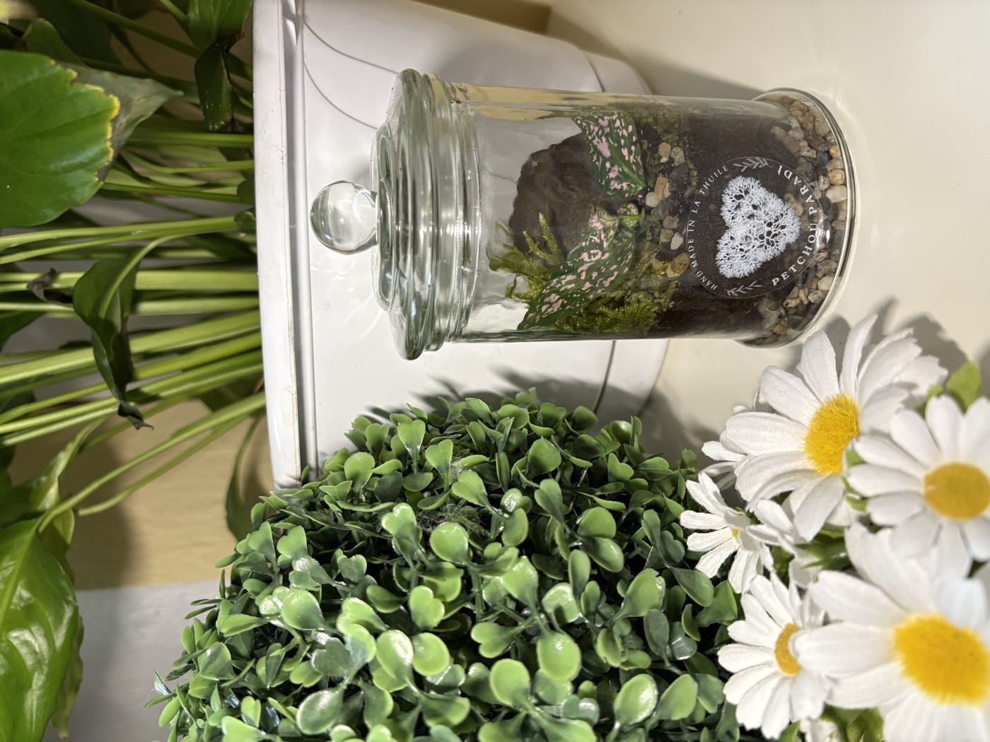 Terrario Reame Boscoso piccolo — vaso a cupola con piante alpine