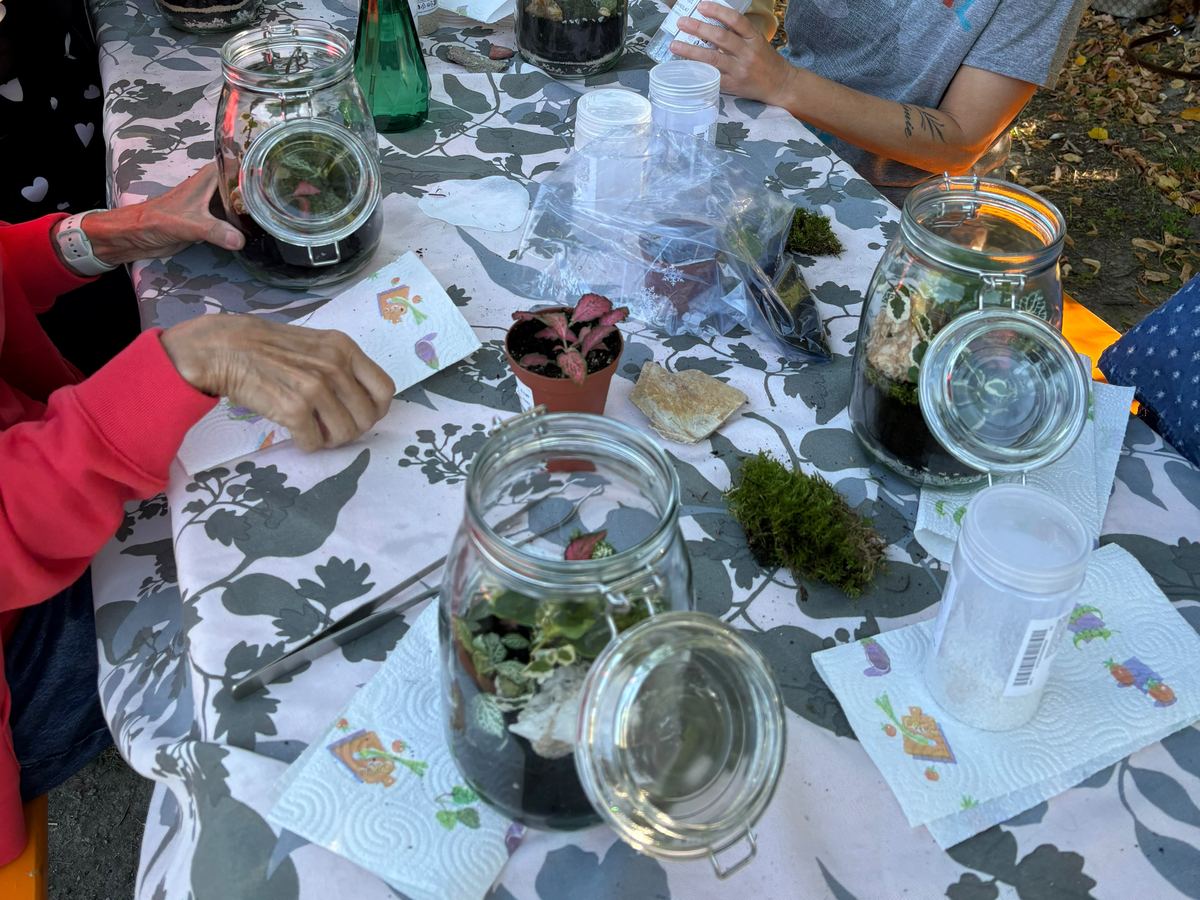 Mani al lavoro durante un workshop Petchoù Paradì: barattoli di vetro, muschio e piantine sul tavolo